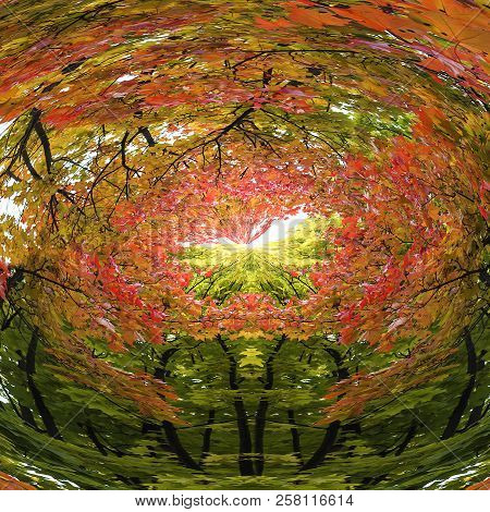The Abstraction Around Autumn, Autumn Forest Capsule