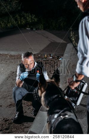 Mature Police Officer In Latex Gloves Showing Evidence To German Shepherd Dog While His Colleague St