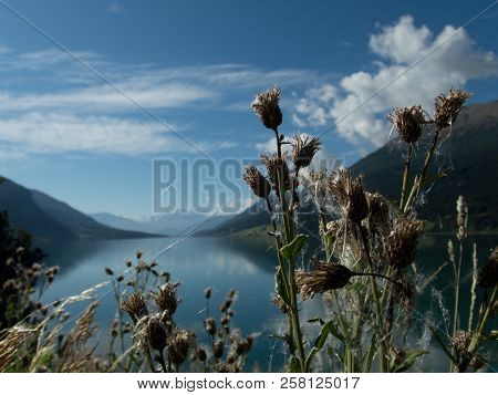 Lago Resia In Italy Wit Ortler Mountain