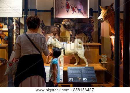 Tokyo, Japan - April 29 2018: National Museum Of Nature And Science Offers A Wide Variety Of Natural