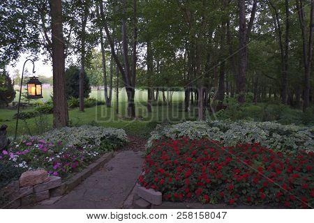 Backyard Forest Woods After Sunset, Dusk With Fireflies Flying In The Forest. Fireflies At Night. Lo