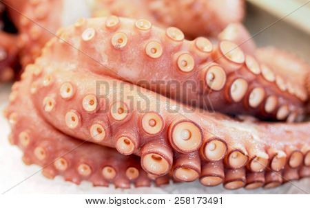 Fresh Octopus At Valencian Market. Spain Seafood.