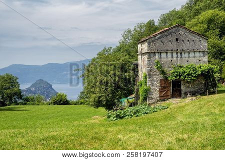 The Mountain Road From Arcumeggia To Laveno, Varese, Lombardy, Italy, At Summer, With Lilies