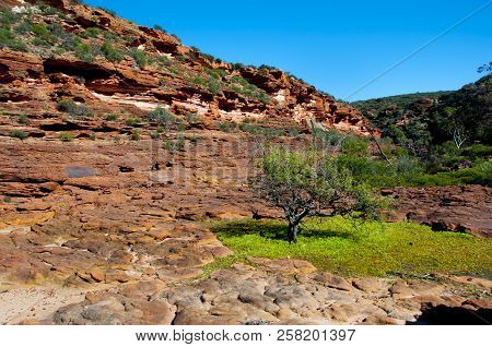 Murchison River Gorge - Kalbarri - Australia