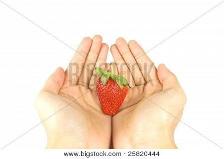 Fresh Red Strawberry With Hand