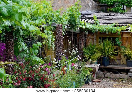 Beautiful Rural Garden With Tropical Plants And Flowers In Vilaflor Mountain Village, Tenerife,canar