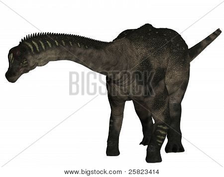 Antarctosaurus - 3D Dinosaur