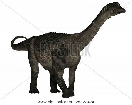 Antarctosaurus - 3D Dinosaur