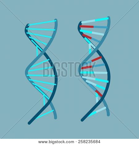 Dna Vector Isometric Icons On Gray Background