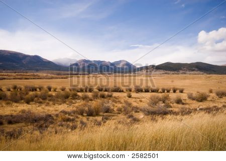 Wide Open Range