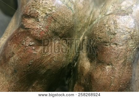 Restoration: Close Up. Conservation Of Paintings. Conservation Of Sculptures