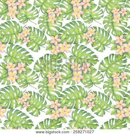Watercolor Illustration Of Tropical Pattern, Plumeria,  Leaves Monstera Pattern. Drawing For Printin