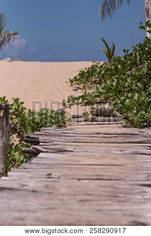 Wooden Path To The Sun Beach At Phangan Island