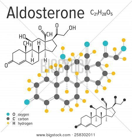 Chemical Formula Of A Vector Aldosterone Molecule