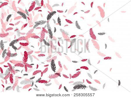 Feather Ethnic Background Vector Print.  Minimalist Background With Plumelet. Flying Feather Element