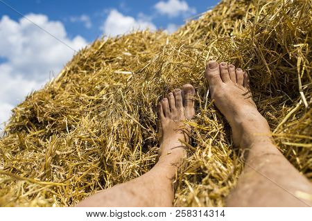 Male Feet On Harvest, Hay Bale With Collected Crops.