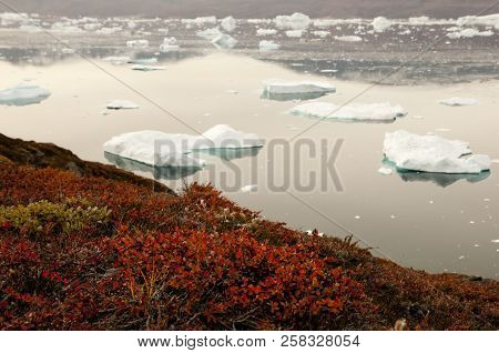 Icebergs Fjord - Scoresby Sound - Greenland