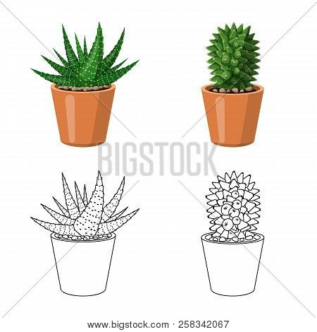Vector Design Of Cactus And Pot Logo. Set Of Cactus And Cacti Vector Icon For Stock.