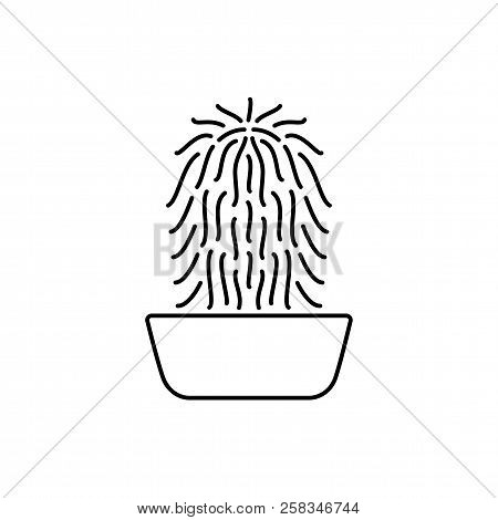 Vector Illustration Of Old Man Cactus In The Pot. Desert Plant For Terrarium And Rock Garden. Line I