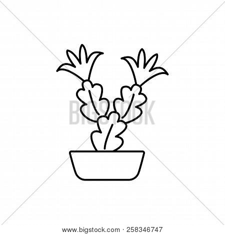 Vector Illustration Of Blooming Holiday Cactus In The Pot. Desert Plant For Terrarium And Rock Garde
