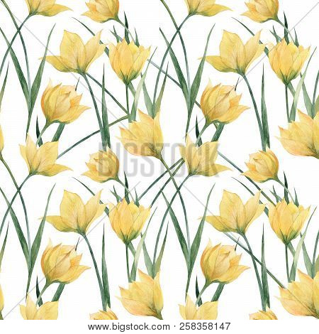 Watercolor Seamless Pattern Yellow Woodland Tulip Flowers And Leaves On A White Background, Path Inc
