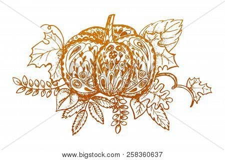 Stylized Pumpkin And Leaves Isolated On White Background. Hand Drawn Orange Decorative Pumpkin Autum