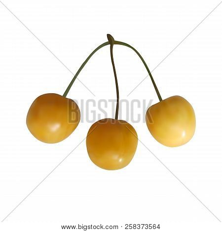 Yellow Sweetcherry. Realistic 3d Vector Illustration Isolated On White Background