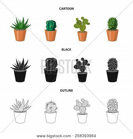Vector Design Of Cactus And Pot Icon. Set Of Cactus And Cacti Vector Icon For Stock.