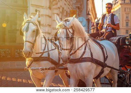 Vienna, Austria - 19.08.2018: Horse-drawn Carriage Or Fiaker, Popular Tourist Attraction, On Michael