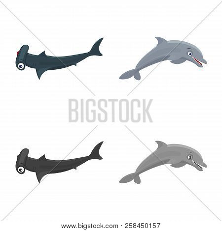 Vector Illustration Of Sea And Animal Symbol. Collection Of Sea And Marine Stock Vector Illustration