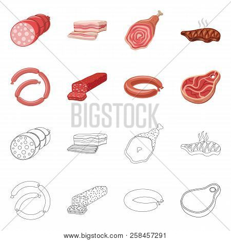 Vector Design Of Meat And Ham Icon. Set Of Meat And Cooking Vector Icon For Stock.