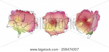 Hand Sketched Set Of Rhododendron Ledebour. Flowers On Pink And Yellow Watercolor Abstract Blotch. I