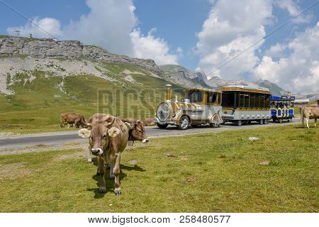 Melchsee-frutt, Switzerland - 4 August 2018: People Travelling On A Tourist Train At Melchsee-frutt 