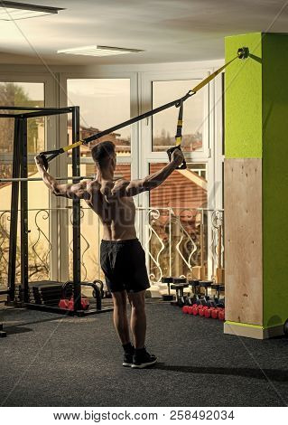 Man With Nude Torso, And Muscular Back In Gym Enjoy Training, Trx. Man With Torso, Sportsman, Athlet
