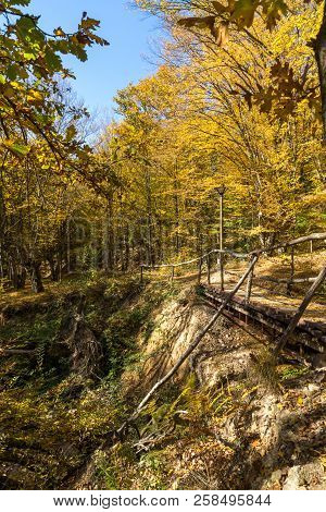 Autumn Landscape With Yellow Trees Near Devil Town In Radan Mountain, Serbia