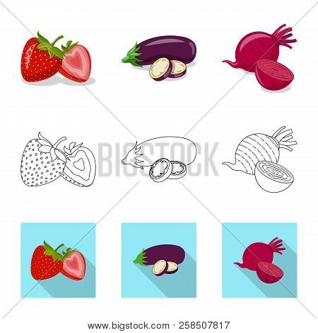 Vector Illustration Of Vegetable And Fruit Logo. Set Of Vegetable And Vegetarian Stock Vector Illust