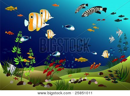 Océan avec beaux poissons tropicaux