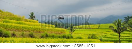 Beautiful Jatiluwih Rice Terraces Against The Background Of Famous Volcanoes In Bali, Indonesia Bann