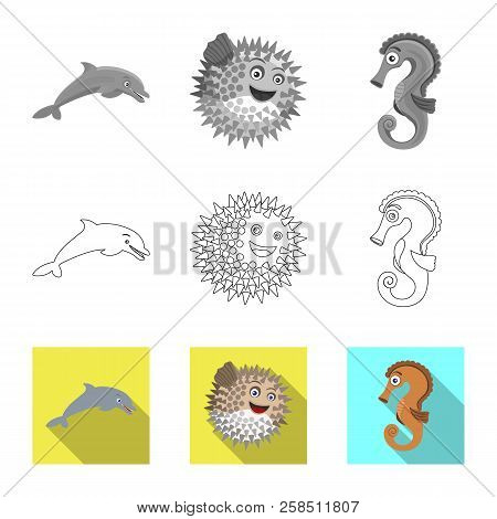 Vector Illustration Of Sea And Animal Symbol. Collection Of Sea And Marine Vector Icon For Stock.