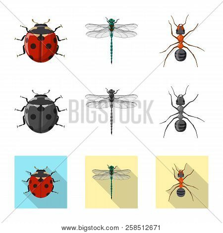 Isolated Object Of Insect And Fly Sign. Collection Of Insect And Element Vector Icon For Stock.