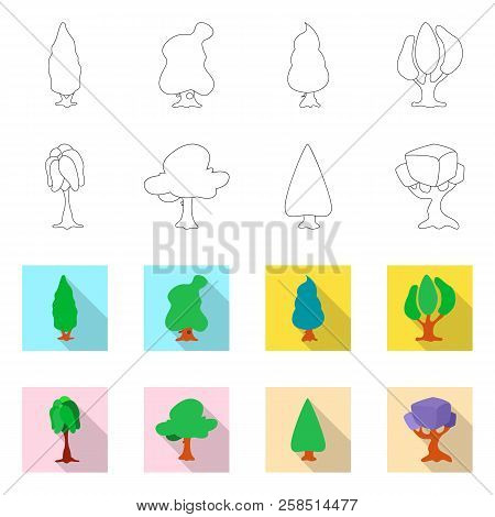 Vector Design Of Tree And Nature Icon. Set Of Tree And Crown Vector Icon For Stock.