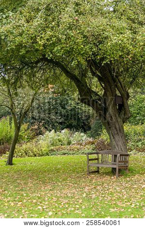 Bressingham Gardens - West Of Diss In Norfolk, England - United Kingdom - Photo Taken  October 7 201