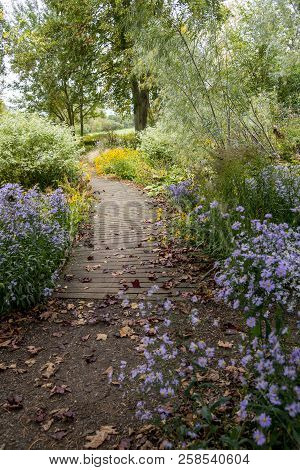 Bressingham Gardens - West Of Diss In Norfolk, England - United Kingdom - Photo Taken  October 7 201
