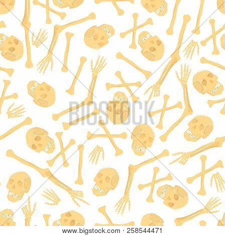 Realistic Skulls And Crossbones Of Human Seamless Pattern. For Wallpaper, Wrappingpaper, Fabric Prin