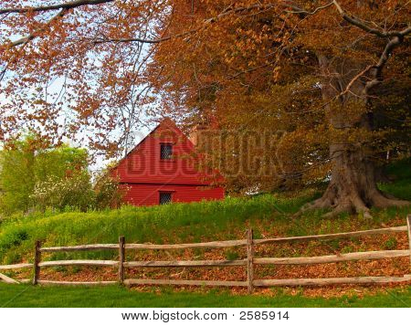 Spring, Old  House Under A Huge Beech Tree
