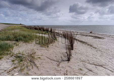 View Of Texel Dunes, One Of The West Frisian Islands In The Wadden Sea, Netherlands