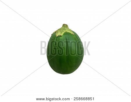 A Single Jilo Vegetable Isolated On White Background