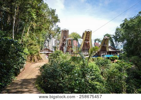 Landscape With Traditional Tongkonan Houses In Tana Toraja Highlands Near Batutumongi Village. South
