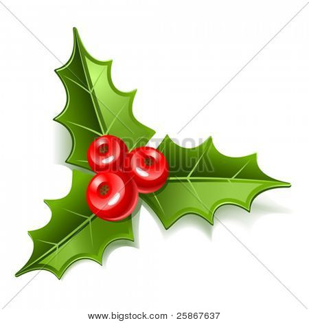 christmas mistletoe icon