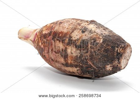 Close Up Of Taro On White Background